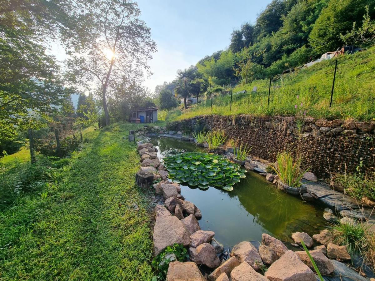 Bed and Breakfast La Nave Monteggio Exterior foto